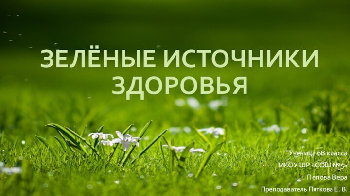 ЗЕЛЁНЫЕ ИСТОЧНИКИ ЗДОРОВЬЯУченица 6В классаМКОУ ШР «СОШ №5»Попова ВераПреподаватель Пяткова Е. В.