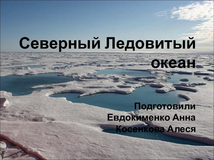 Северный Ледовитый океан   Подготовили Евдокименко Анна Косенкова Алеся