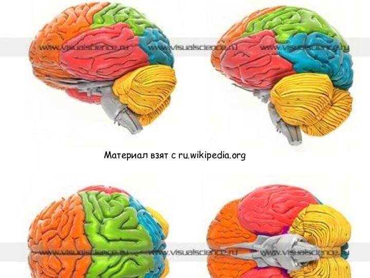 Материал взят с ru.wikipedia.org