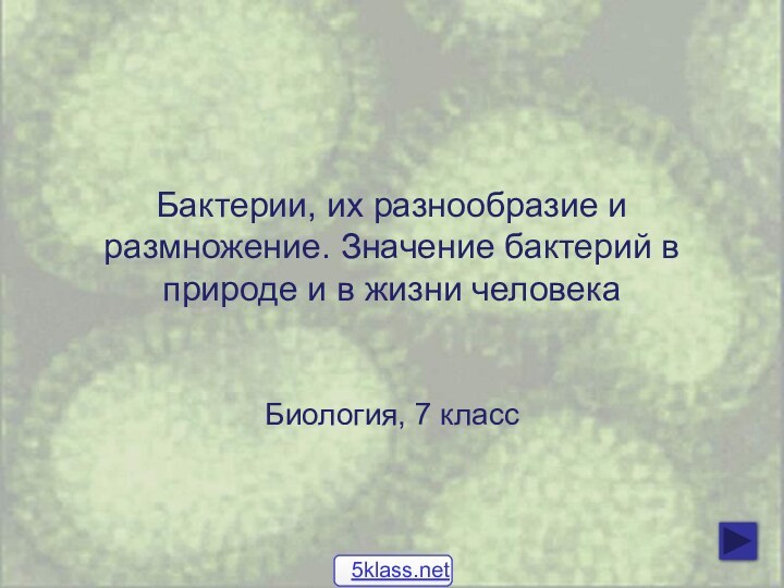 Бактерии, их разнообразие и размножение. Значение бактерий в природе и в жизни человекаБиология, 7 класс