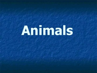 Animals