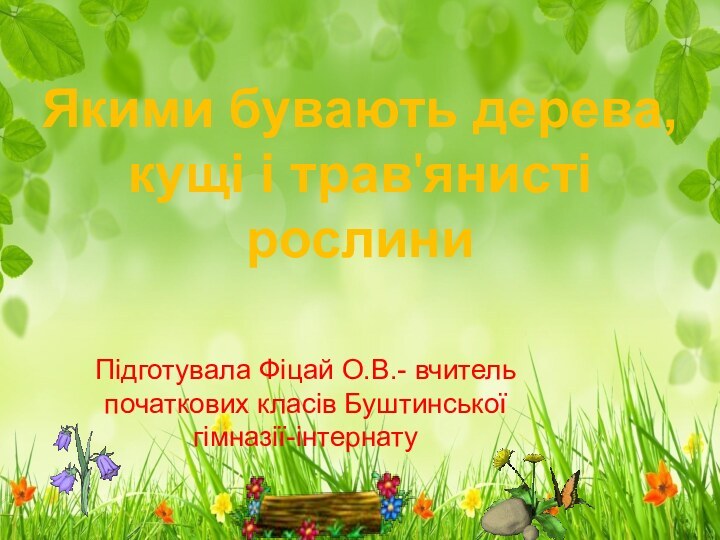 Якими бувають дерева, кущі і трав'янисті рослини   Підготувала Фіцай О.В.-