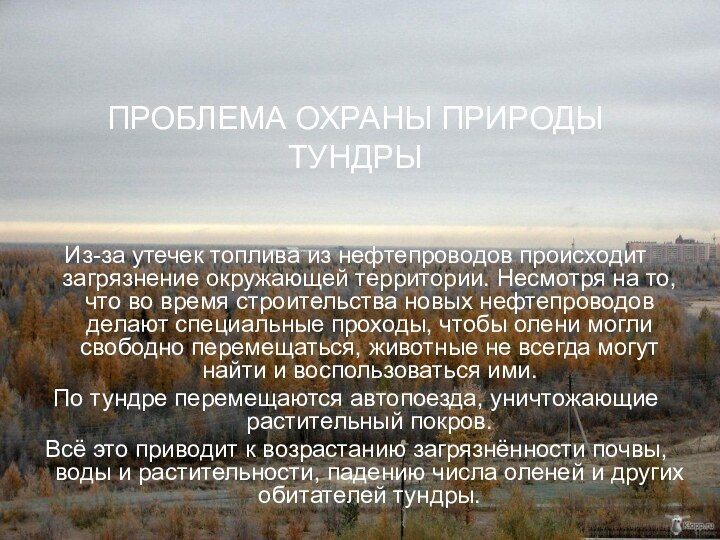 ПРОБЛЕМА ОХРАНЫ ПРИРОДЫ ТУНДРЫИз-за утечек топлива из нефтепроводов происходит загрязнение окружающей территории.