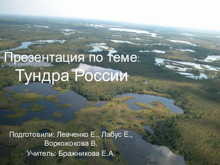 Презентация по теме: Тундра РоссииПодготовили: Левченко Е., Лабус Е., Воркожокова В.Учитель: Бражникова Е.А.