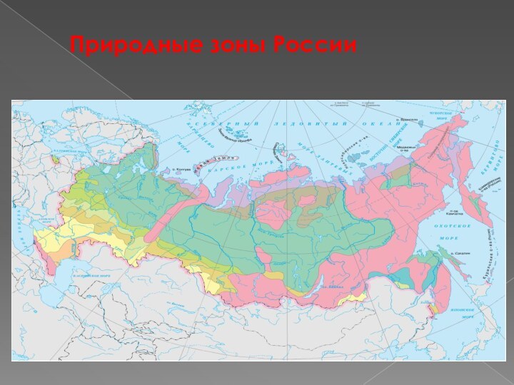 Природные зоны России