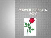 Учимся рисовать розу