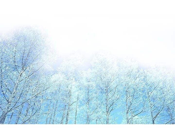 1.Выберите правильный ответ.Предлоги, употребляемые с  дательным падежом  (Dativ). 1.Выберите правильный ответ.В