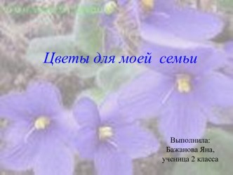 Цветы для моей семьи