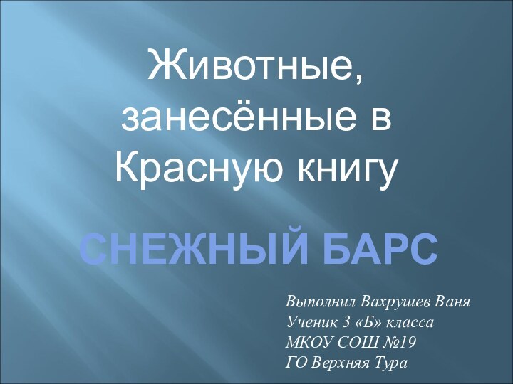 СНЕЖНЫЙ БАРСЖивотные, занесённые в Красную книгуВыполнил Вахрушев ВаняУченик 3 «Б» класса МКОУ СОШ №19ГО Верхняя Тура