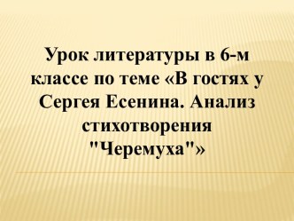 В гостях у Сергея Есенина. Анализ стихотворения Черемуха