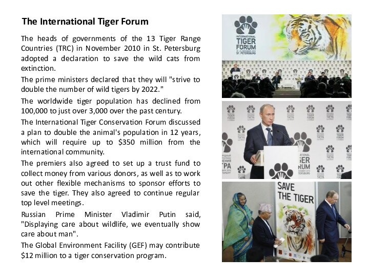 The International Tiger ForumThe heads of governments of the 13 Tiger Range Countries