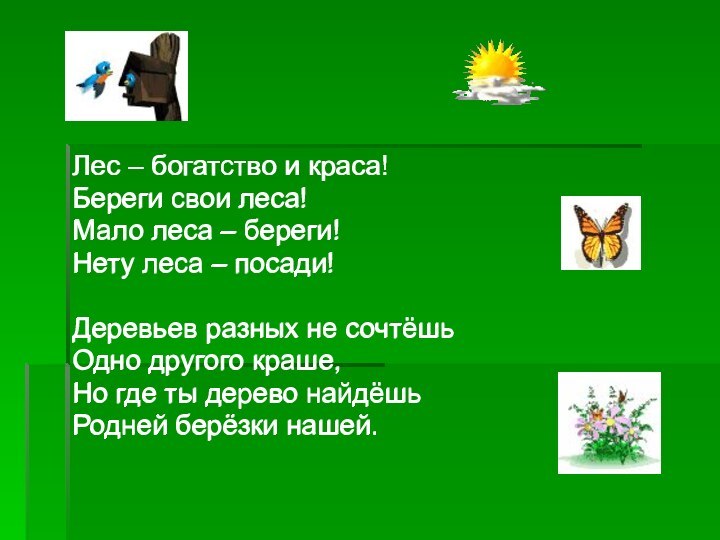 Лес – богатство и краса!Береги свои леса!Мало леса – береги!Нету леса –