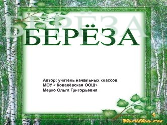 Берёза