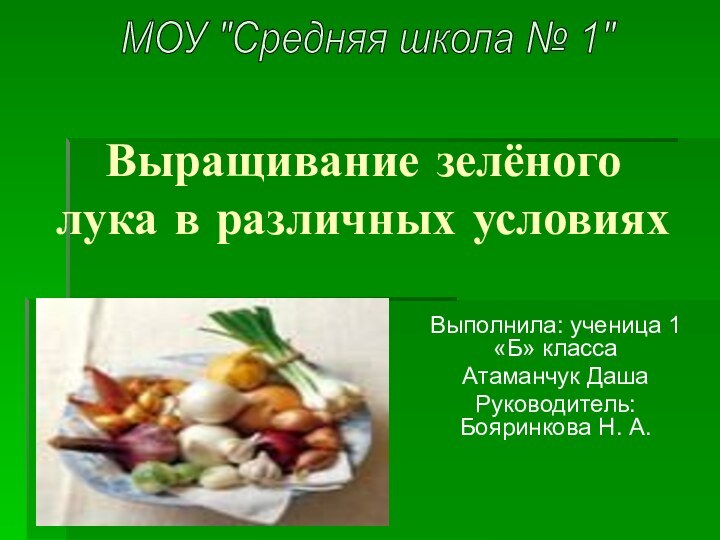 Выращивание зелёного лука в различных условияхВыполнила: ученица 1 «Б» класса Атаманчук ДашаРуководитель: