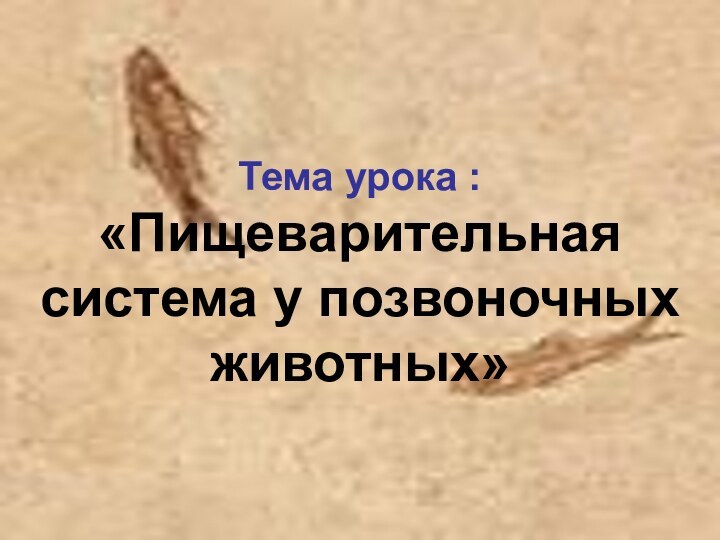 Тема урока : «Пищеварительная система у позвоночных животных»