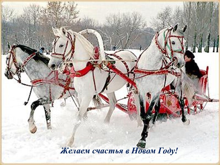 Желаем счастья в Новом Году!