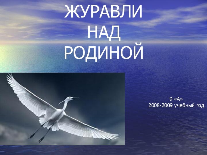 ЖУРАВЛИ  НАД  РОДИНОЙ9 «А»2008-2009 учебный год