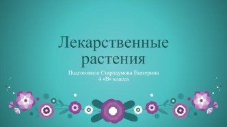 ЛЕКАРСТВЕННЫЕ РАСТЕНИЯ И ВСЁ О НИХ