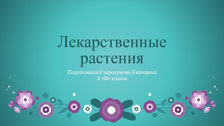 Лекарственные  растенияПодготовила Стародумова Екатерина4 «В» класса