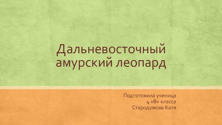 Дальневосточный амурский леопард Подготовила ученица 4 «В» классаСтародумова Катя