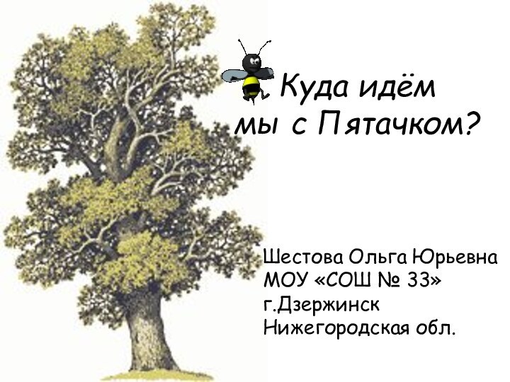 Куда идём  мы с Пятачком?Шестова Ольга ЮрьевнаМОУ «СОШ № 33»г.ДзержинскНижегородская обл.