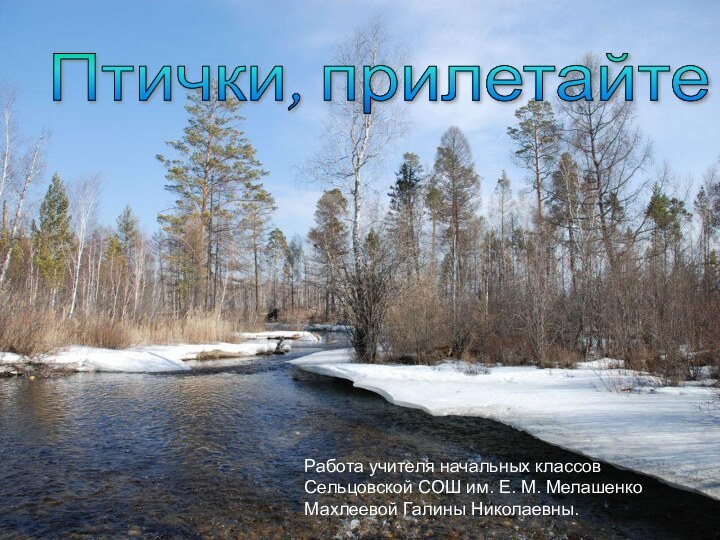 Птички, прилетайте!Работа учителя начальных классов Сельцовской СОШ им. Е. М. Мелашенко Махлеевой Галины Николаевны.