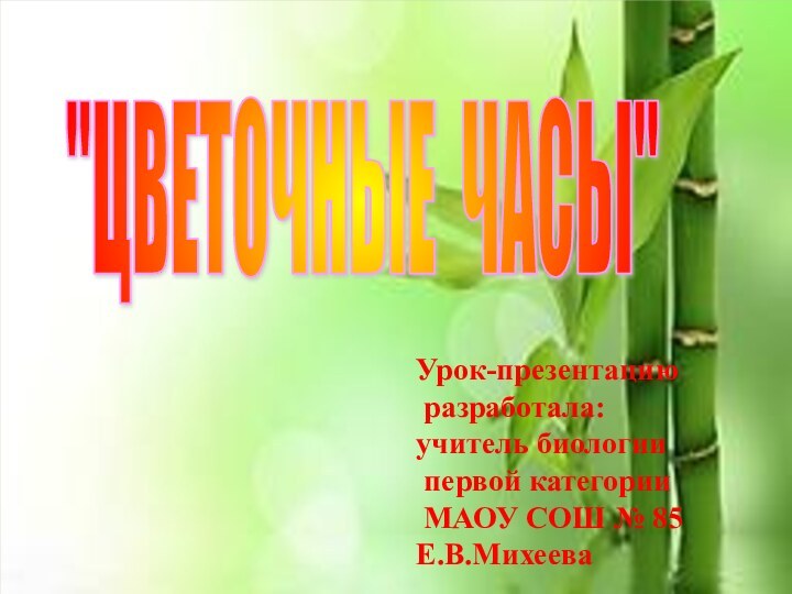 Урок-презентацию разработала:учитель биологии первой категории МАОУ СОШ № 85Е.В.Михеева