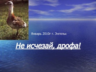 Не исчезай, дрофа!