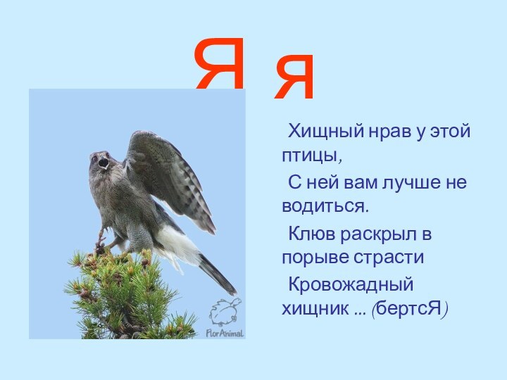 Я я	Хищный нрав у этой птицы,	С ней вам лучше не водиться.	Клюв раскрыл