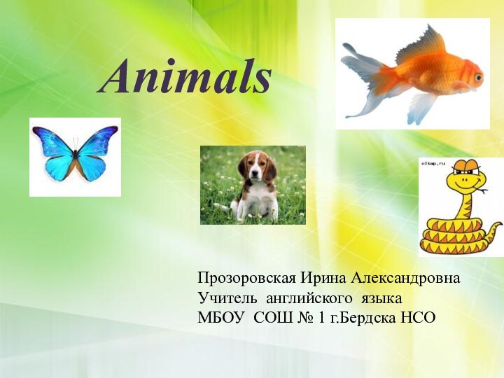 AnimalsПрозоровская Ирина АлександровнаУчитель английского языкаМБОУ СОШ № 1 г.Бердска НСО