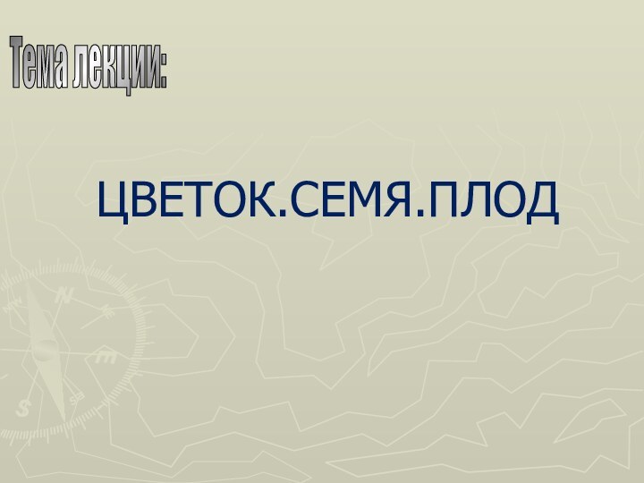 ЦВЕТОК.СЕМЯ.ПЛОД       Тема лекции: