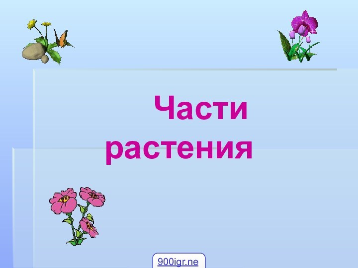 Части растения