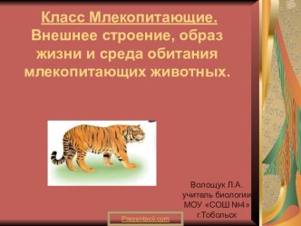 Класс Млекопитающие. Внешнее строение, образ жизни и среда обитания млекопитающих животных