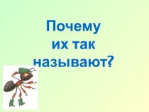 Почему их так называют? (помогает понять названия некоторых животных и растений)