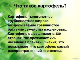 картофель