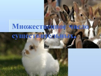 Множественное число существительных