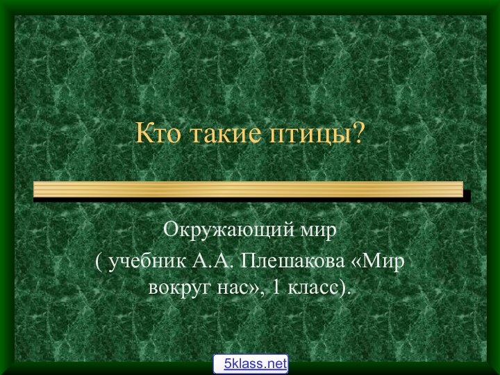 Кто такие птицы?Окружающий мир( учебник А.А. Плешакова «Мир вокруг нас», 1 класс).