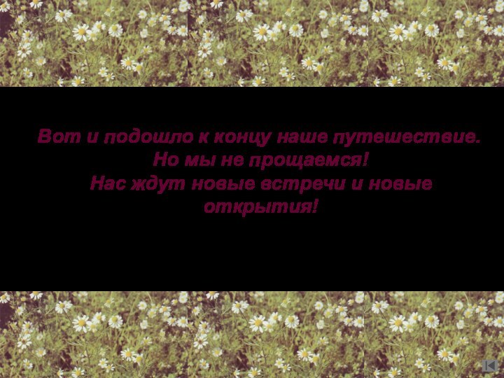 Вот и подошло к концу наше путешествие.  Но мы