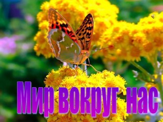 Мир вокруг нас