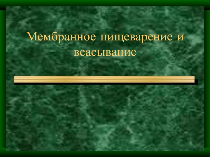 Мембранное пищеварение и всасывание