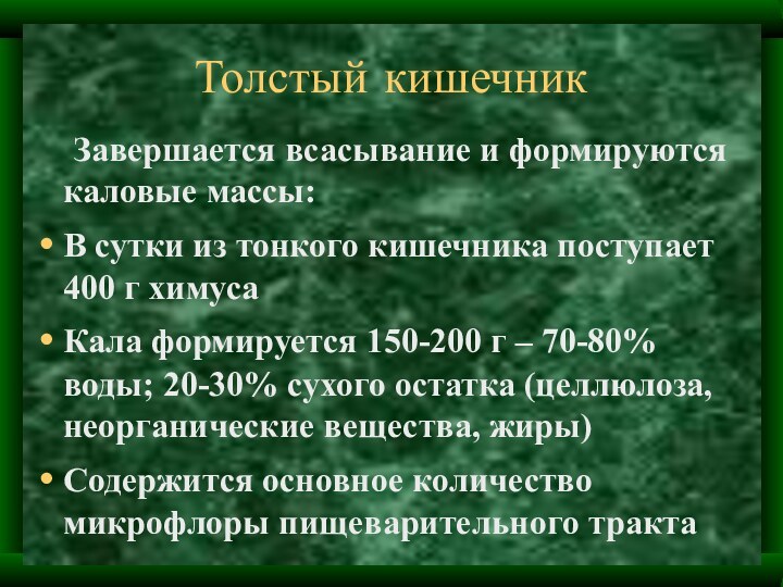 Толстый кишечник	Завершается всасывание и формируются каловые массы:В сутки из тонкого кишечника поступает