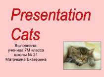 Presentation Cats