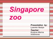 Singapore Zoo