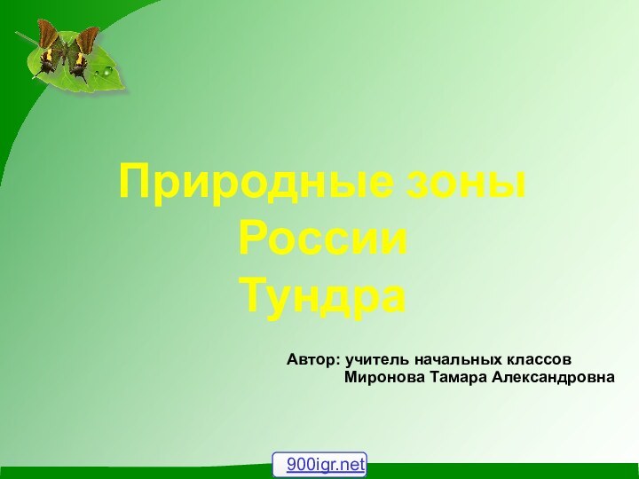 Природные зоны России  ТундраАвтор: учитель начальных классов