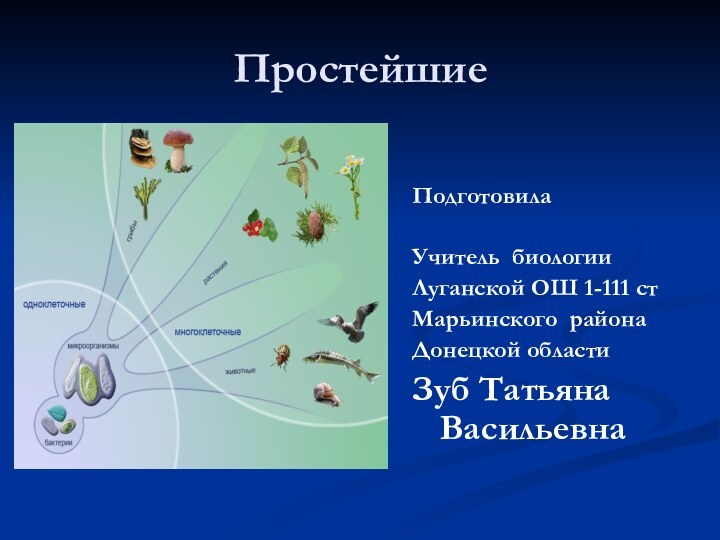 ПростейшиеПодготовила Учитель биологии Луганской ОШ 1-111 стМарьинского района Донецкой области Зуб Татьяна Васильевна