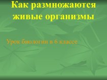 Как размножаются живые организмы