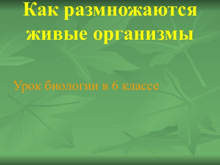 Как размножаются живые организмыУрок биологии в 6 классе