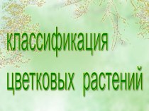 Классификация цветковых растений