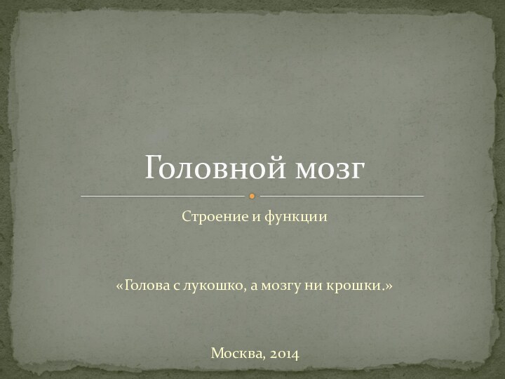 Строение и функции«Голова с лукошко, а мозгу ни крошки.»Москва, 2014Головной мозг