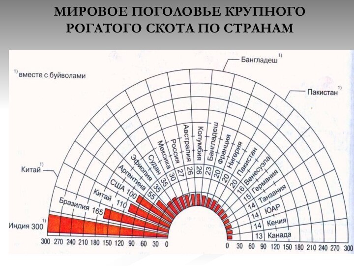 МИРОВОЕ ПОГОЛОВЬЕ КРУПНОГО РОГАТОГО СКОТА ПО СТРАНАМ